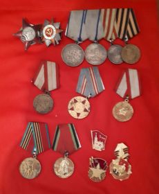 Орден отечественной войны 2 степени, орден Красной заезды, Медаль за оборону г.Москва, Медали за отвагу за боевые заслуги