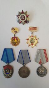 Орден Отечественной войны II степени, Орден Трудового красного знамени, Медаль "За отвагу"