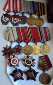 Он имеет много орденов и медалей, две медали «За отвагу», Орден Красной Звезды