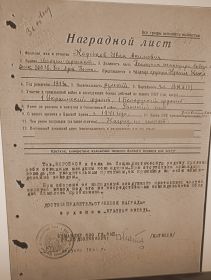 медаль "За отвагу", медаль "За боевые заслуги", орден "Красной звезды", орден Великой Отечественной Войны 2 степени