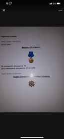 Орден Отечественной войны 1 степени, медаль за отвагу.