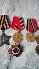 медалью «За отвагу», Орден Славы 3 степени , Орденом Отечественной войны