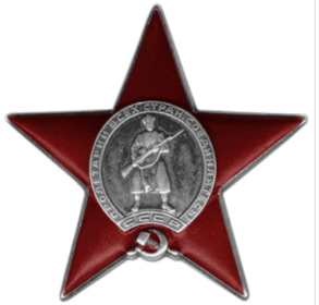 Вторая награда: Орден Красной Звезды