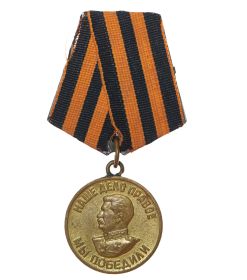 Медаль за победу над Германией  в ВОВ 1941-1945