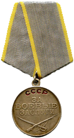 медали: "За боевые заслуги", "За победу над Германией в Великой Отечественной войне 1941-1945 гг", "За победу над Японией".