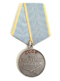 Награды Медаль: «За боевые заслуги»