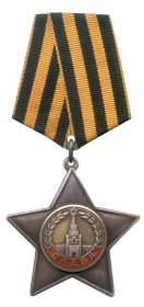 ордена: "Отечественной войны II ст." Славы III ст." медали: "За боевые заслуги", "З а победу над Германией в Великой Отечественной войне 1941-1945 гг."