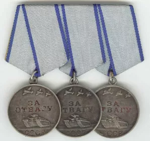 Medal_Za_Otvagu .png
