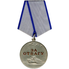 медали: "За отвагу", "За боевые заслуги", "За победу над Германией в Великой Отечественной войне 1941-1945 гг."