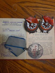 Первый орден Красного Знамени за бои в Монголии в 1939году. Второй орден Красного Знамени и медаль За Отвагу за освобождение Белгорода в 1943 году (бои при переправе).