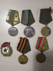 Медали: За отвагу, За боевые заслуги, За освобождение Варшавы, Наше дело правое мы победим, XXX, знак Гвардия.