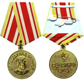 Медаль «За победу над Японией» № 055103, апрель 1946 г. 291 штурмовой авиационный полк,