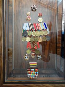 Орден Великой Отечественной войны II степени, медали "За отвагу", "За победу над Германией", "За взятие Будапешта", "За взятие Вены"