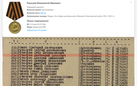 Медаль За Победу над Германией в Великой Отечественной войне 1941-45гг