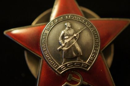 "За взятие Будапешта ".  "За взятие Вены ".  " За победу над Германией  ".   Орден Красной Звезды.