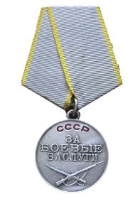 26.07.1945  Медаль «За боевые заслуги»  Приказ подразделения  №: 60/н   Издан:  ГК ЮГВ