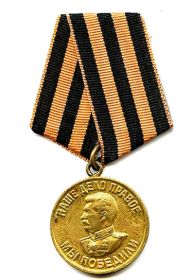Медали  «За отвагу»  (2 медали), «За боевые заслуги», За   освобождение Праги, За взятие Кенигсберга, За победу над Германией
