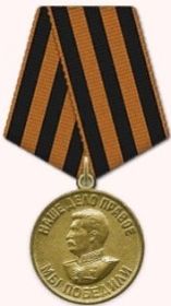 медаль " За Победу над Германией в Великой Отечественной войне 1941-1945 г.г.».