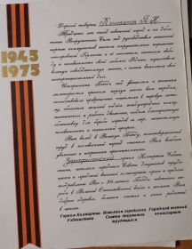 Памятный диплом участника Великой Отечественной войны 1941-1945гг