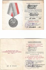 Медали «Ветеран труда» и «За доблестный труд в Великой Отечественной войне 1941-1945 гг.».