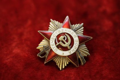 Орден Красного знамени, за взятие Берлина, За отвагу,