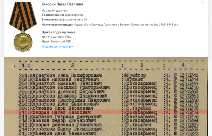 Медаль За Победу над Германией в Великой Отечественной войне 1941-45гг