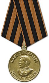 Медаль «За победу над Германией в Великой Отечественной войне 1941-1945 годов»