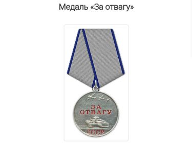 Медаль "За отвагу",Орден Славы III степени