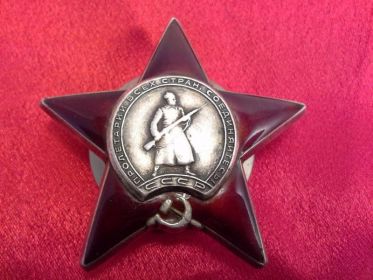 Орден "Красной звезды", медаль "За боевые заслуги".