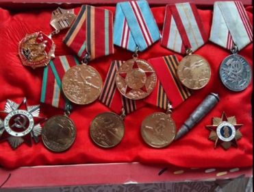Награды: - медаль «За боевые заслуги» 25.10.45; - медаль «За победу над Японией» 30.09.46; - медаль «30 лет Советской Армии» 23.02.48; - знак «25 лет Победы» 04.05.70; - медаль «30 лет Победы