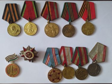 Орден Великой Отечественной войны 2 степени, медаль за победу над Японией