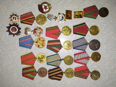 Медаль-"Жукова ", медаль-" За Отвагу", медаль-"за победу над Германией в Великой Отечественной Войне 1941-1945",медаль-"за участие в героичнской обороне Кавказа", медаль-"За доблестный труд "