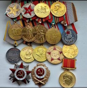 Медаль «За победу над Германией в Великой Отечественной войне 1941–1945 гг.», Медаль «За боевые заслуги», Орден Отечественной войны II степени