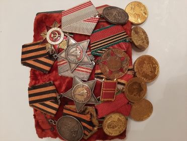 Орден Славы II и III степени, медаль за Отвагу, медаль "За победу над Германией", орден Отечественной войны I степени, юбилейные медали