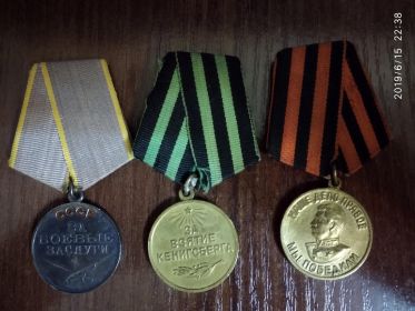 Награждён 16 правительственными наградами: «За взятие Кёнигсберга», «За победу над Германией в Великой Отечественной войне 1941-1945 гг.», «За боевые заслуги» и другими.