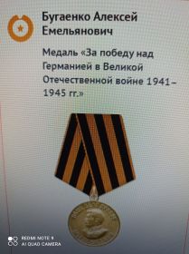 "За боевые заслуги"," За отвагу",Медаль за Победу над Германией в Великой Отечественной войне 1941-1945