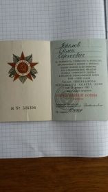 Медаль за отвагу и орден Отечественной войны II степени