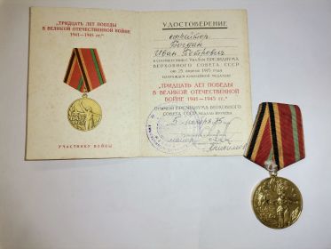 Памятная медаль 30 лет Победы