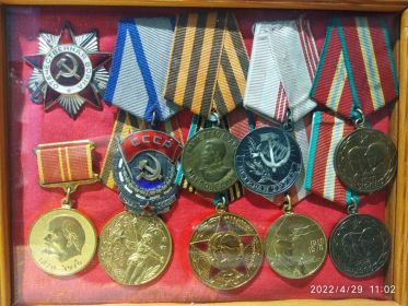 Орден Отечественной войны 2 степени, орден Знак почета, медаль