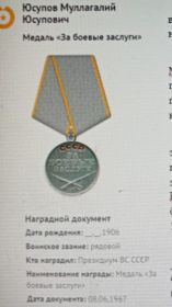 медаль "За боевые заслуги"