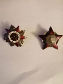 Орден отечественной войны 1 степени, орден красной звезды