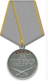 Медаль за боевые заслуги