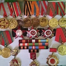 Ордена Красеой звезды два ордена Отечественной войны Медали за отвагу ,Сталинградская битва,Освобождение Будапешта,за Боевые заслуги