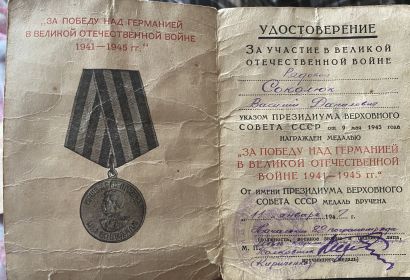 Медаль «За победу над Германией в Великой Отечественной войне 1941-1945 гг.»