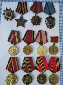 орден Славы, орден Отечественной войны, орден Трудового красного знамени, медаль «За отвагу», медаль Жукова