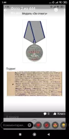 Медаль "За отвагу" , орден Отечественной войны II степени