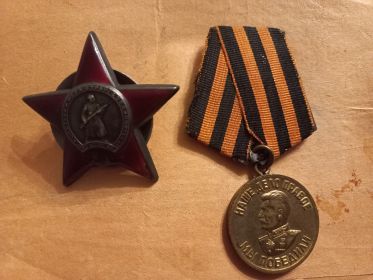 Орден Красной звезды, медаль за победу над Германией