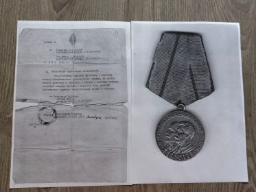 Медаль партизана 2-й степени