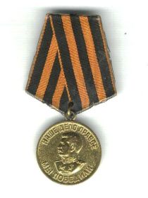 медаль за Победу над Германией в Великой Отечественной  Войне 1941-1945г.г..