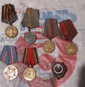 Медаль за взятие Берлина, медаль Юбилейная за взятие Берлина (1945-1965г), орден "Отличный танкист", медаль за освобождение Варшавы, медаль за боевые заслуги, медаль за победу над Германией.